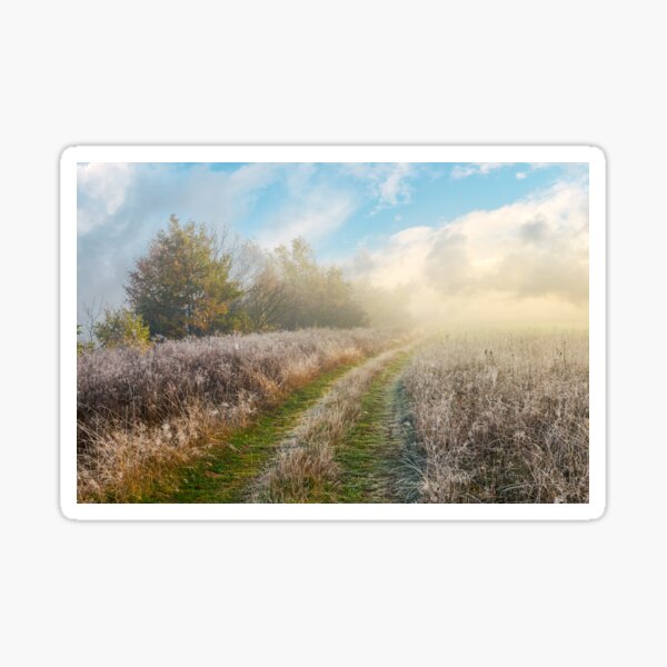 country road uphill through meadow Sticker