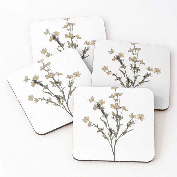 Item preview, Aesthetic Floral  designed and sold by Deejay-95.
