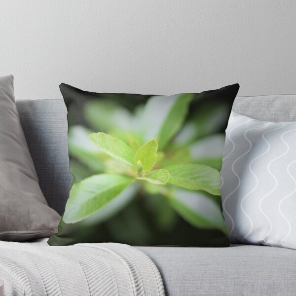 Item preview, New Green Leaves Close Up designed and sold by cushobi.