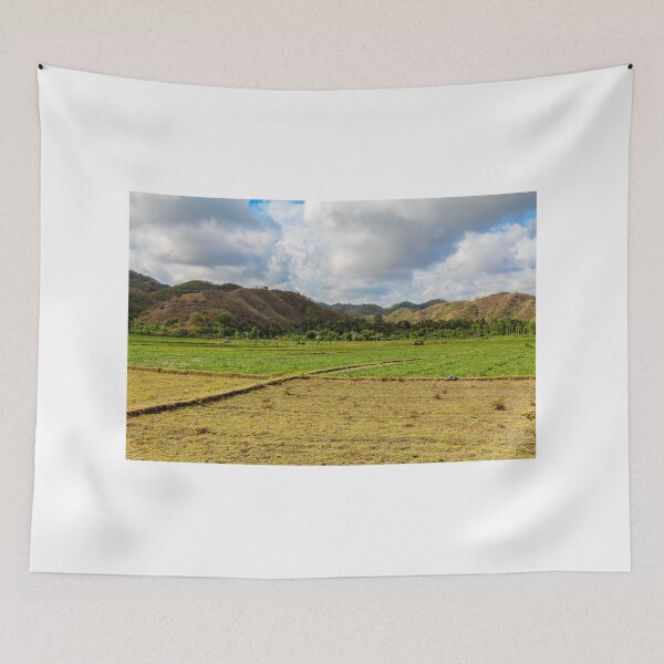 Item preview, Rice paddy workers in a field near Mawun Beach, Kuta, Lombok designed and sold by SnapTPhotograph.