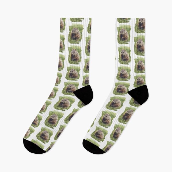 Item preview, Copy of Groundhog kit in grass.  Grunge effect. designed and sold by Rabbitti.