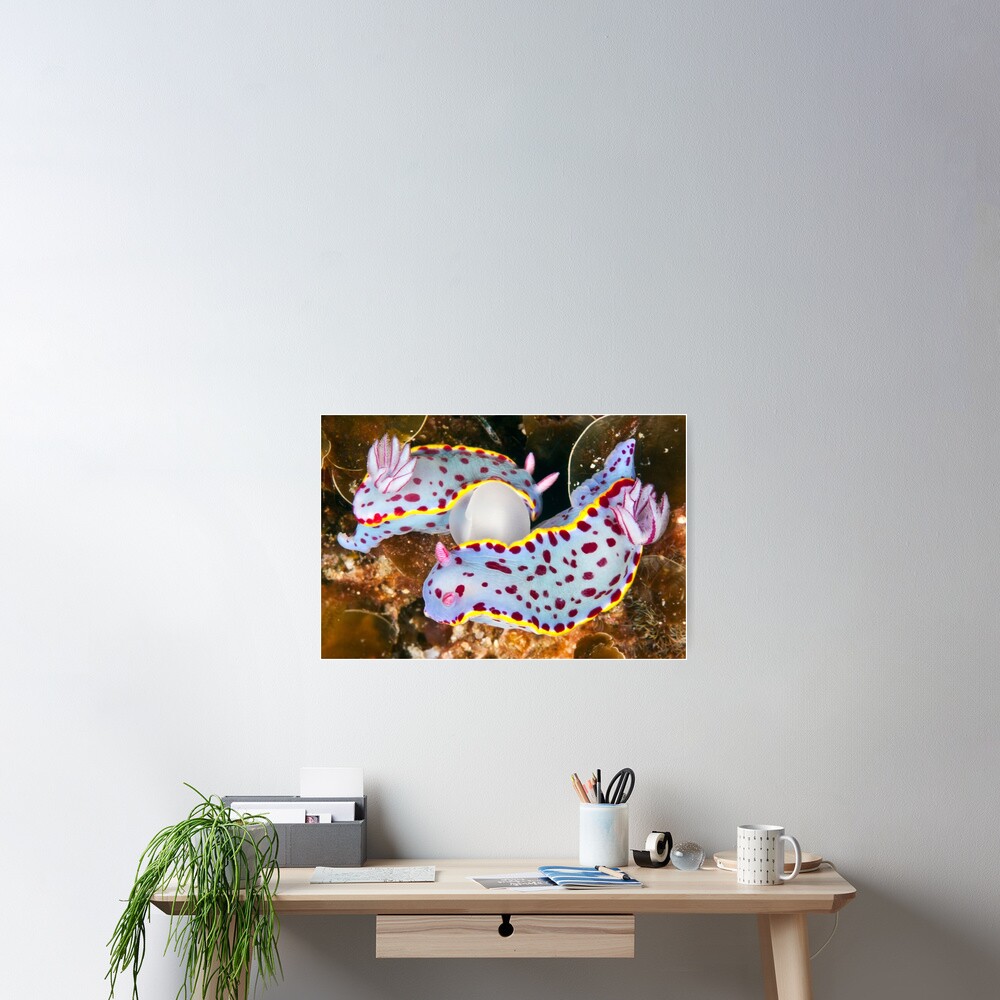 Strange bed-fellows Poster
