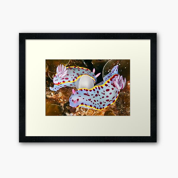 Strange bed-fellows Framed Art Print