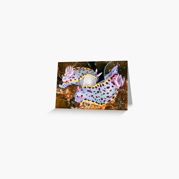 Strange bed-fellows Greeting Card