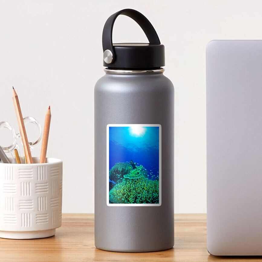 Coral reef scene Sticker