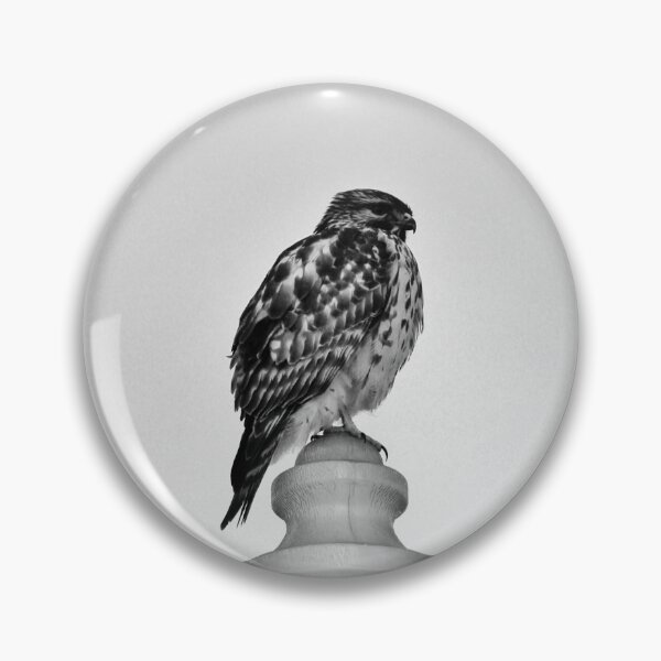 Item preview, Lamppost Hawk designed and sold by Cynthia48.