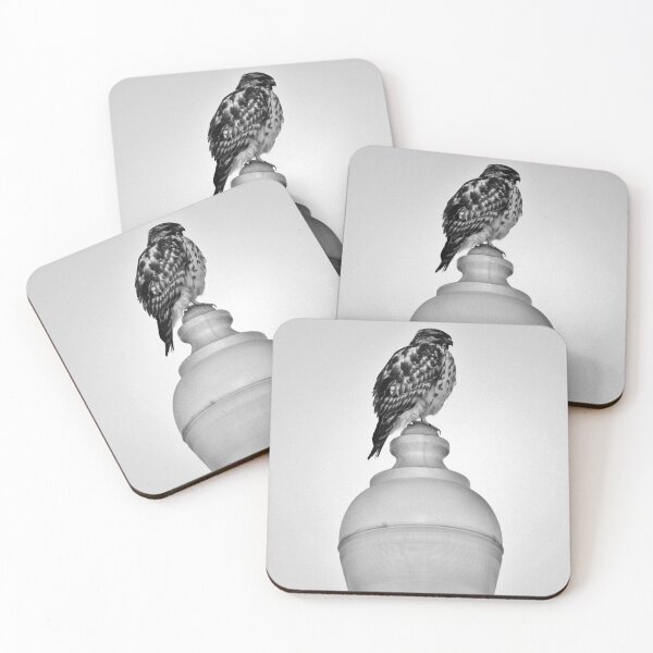 Item preview, Lamppost Hawk designed and sold by Cynthia48.