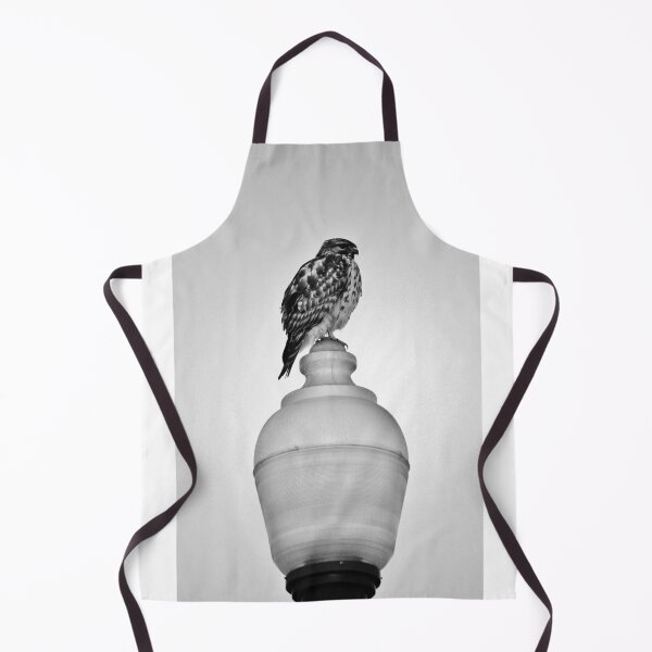 Item preview, Lamppost Hawk designed and sold by Cynthia48.