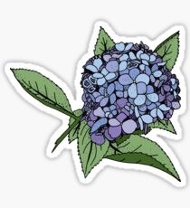Hortensie blau Sticker