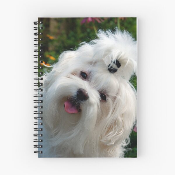 Item preview, Nuttin' But Love designed and sold by Lois  Bryan.