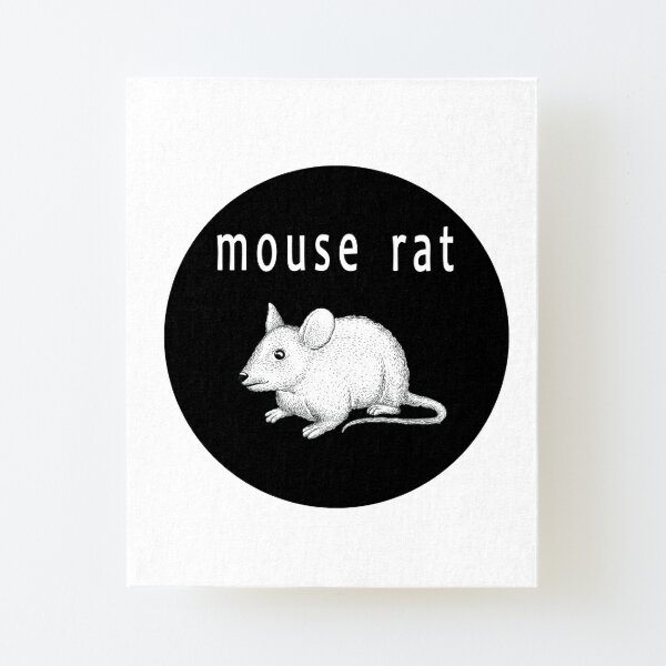 Featured image of post Dancing Rats Aesthetic : Share the best gifs now &gt;&gt;&gt;.