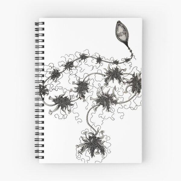 Item preview, Ernst Haeckel Illustration  designed and sold by offthefringeink.