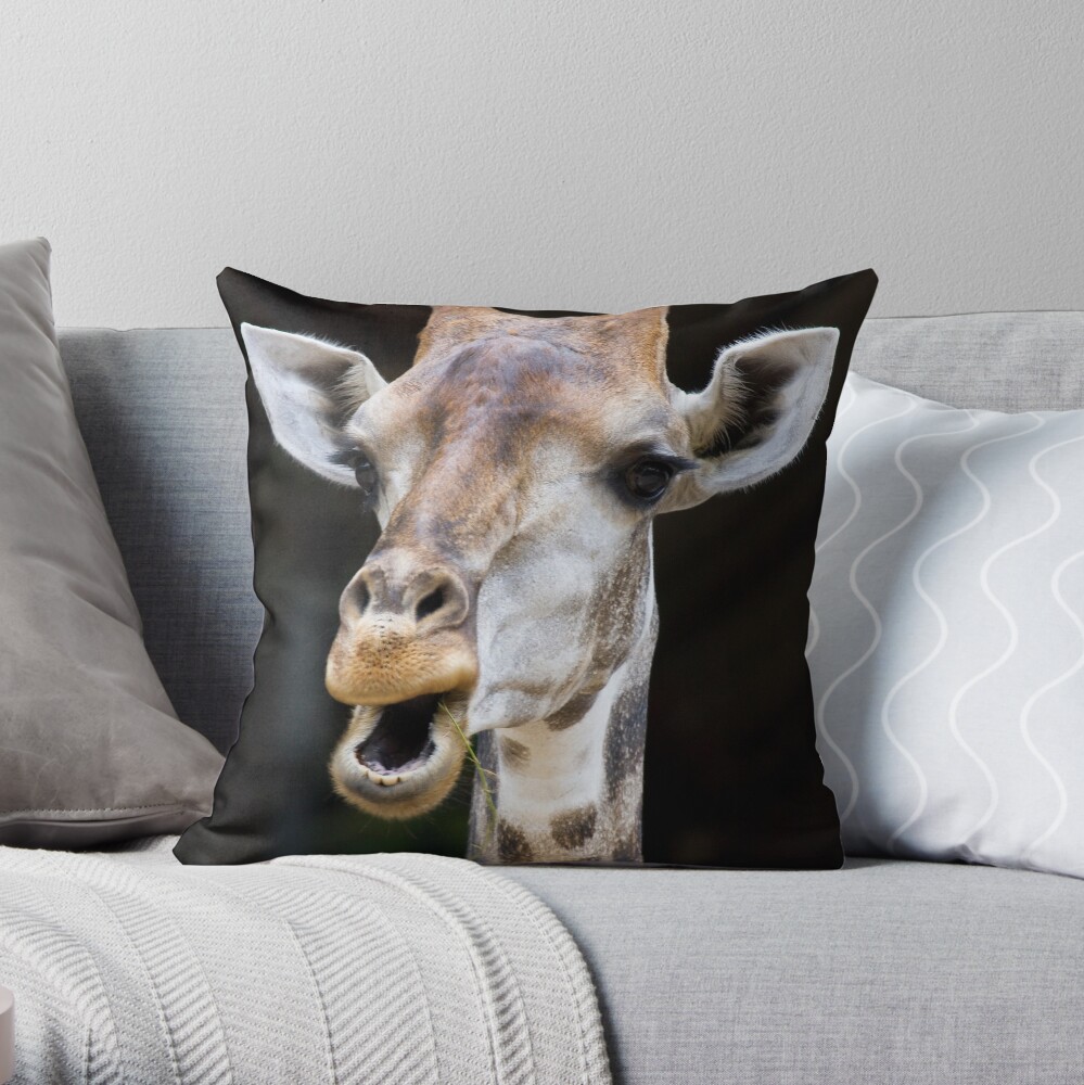 Giraffe portrait on black background Throw Pillow