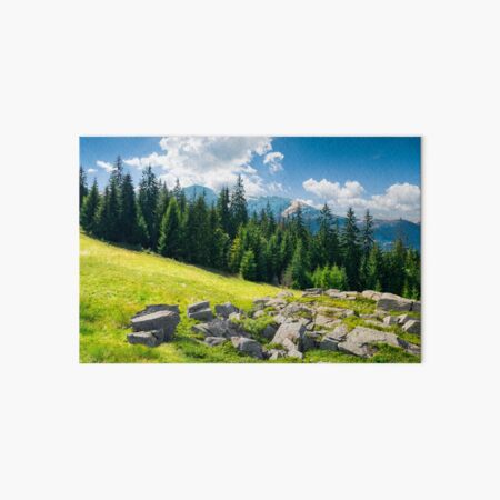 alpine summer landscape composite Art Board Print
