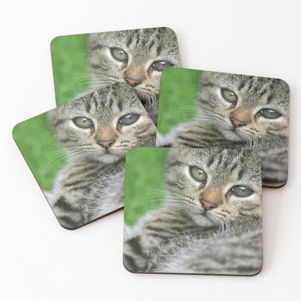 Item preview, Little kitten portrait designed and sold by Melissa Peltenburg.