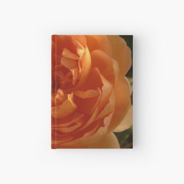 Orange Rose Hardcover Journal
