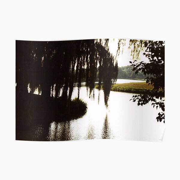 Willow Silouette Poster