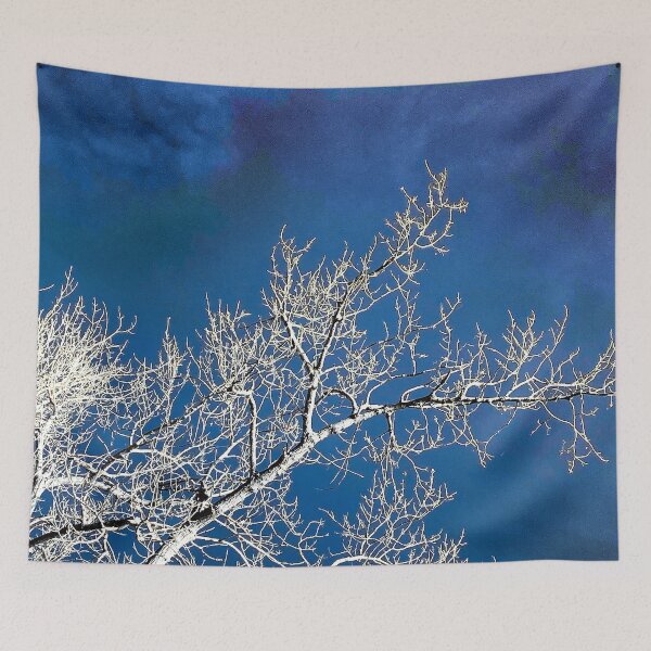 Item preview, Naked trees in the Blue Sky designed and sold by Traveledesigns.