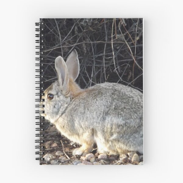 Item preview, Cottontail Rabbit, Santa Fe, New Mexico designed and sold by lenspiro.