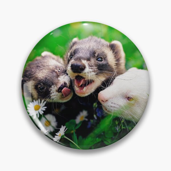 Item preview, Three Ferrets  designed and sold by PurpleBluesPets.