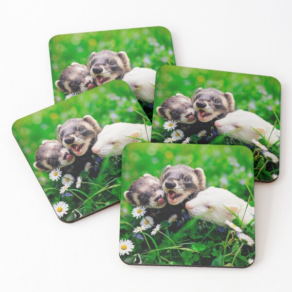 Item preview, Three Ferrets  designed and sold by PurpleBluesPets.