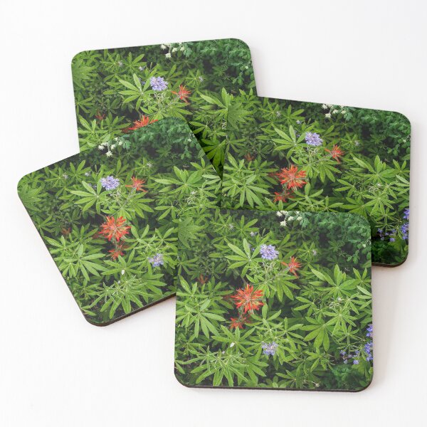 Item preview, Cedar Breaks Flora designed and sold by dawn2dawn.