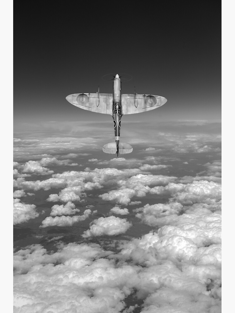 A Cut Above Black And White Version Premium Matte Vertical Poster Sold By M Mobillocksmith 1491