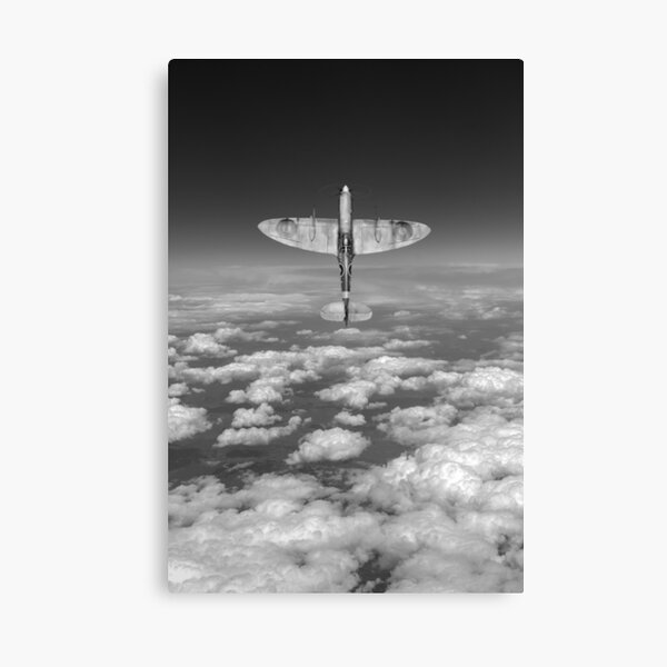 A cut above, black and white version Canvas Print