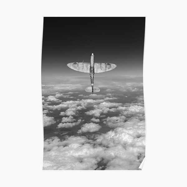 A cut above, black and white version Poster
