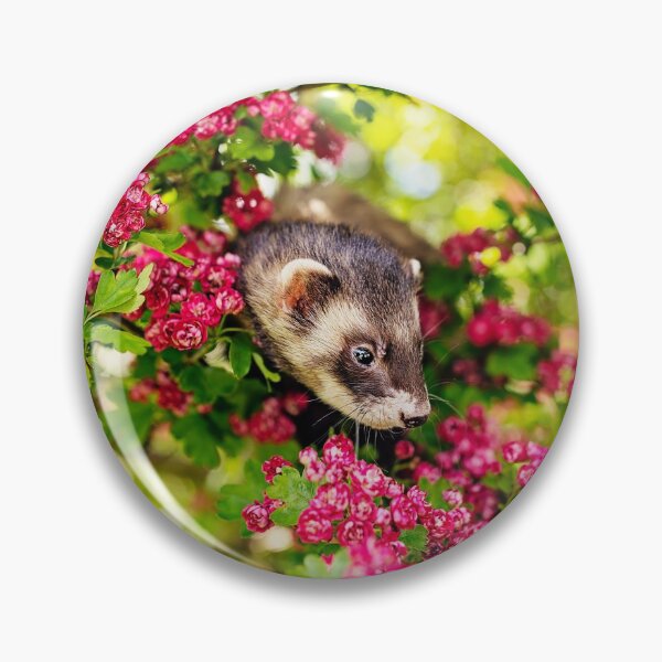 Item preview, Ferret In Pink designed and sold by PurpleBluesPets.