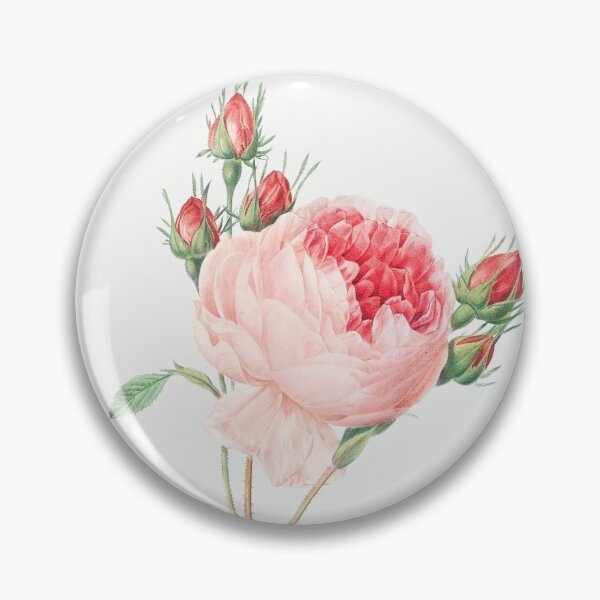Item preview, Pink Rose - Botanical Illustration designed and sold by SALON DES ARTS.