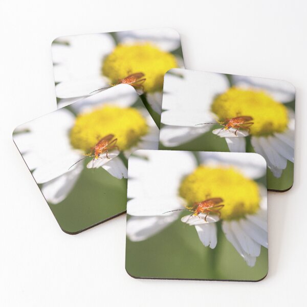 Item preview, Soldier beetle on a daisy designed and sold by GreyFeatherPhot.