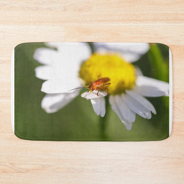 Item preview, Soldier beetle on a daisy designed and sold by GreyFeatherPhot.