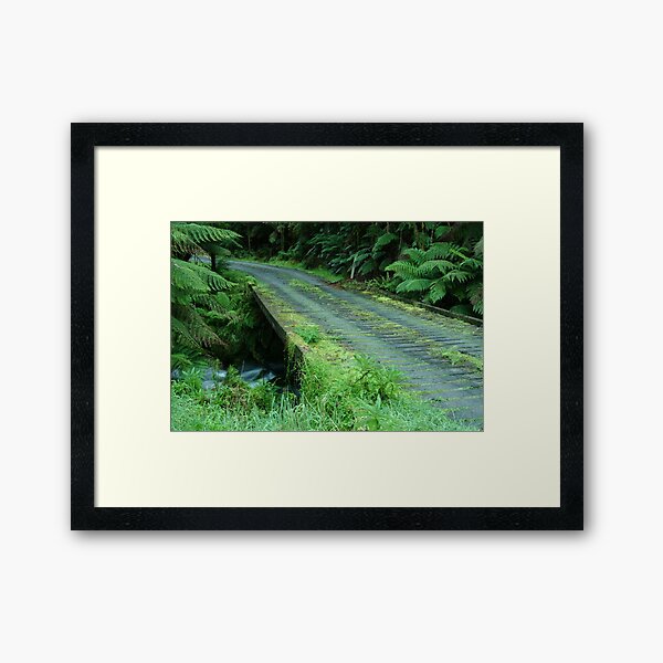 Item preview, Joe Mortelliti Gallery - Cianco Creek bridge, Otways Forest, Victoria, Australia.  designed and sold by thisisaustralia.