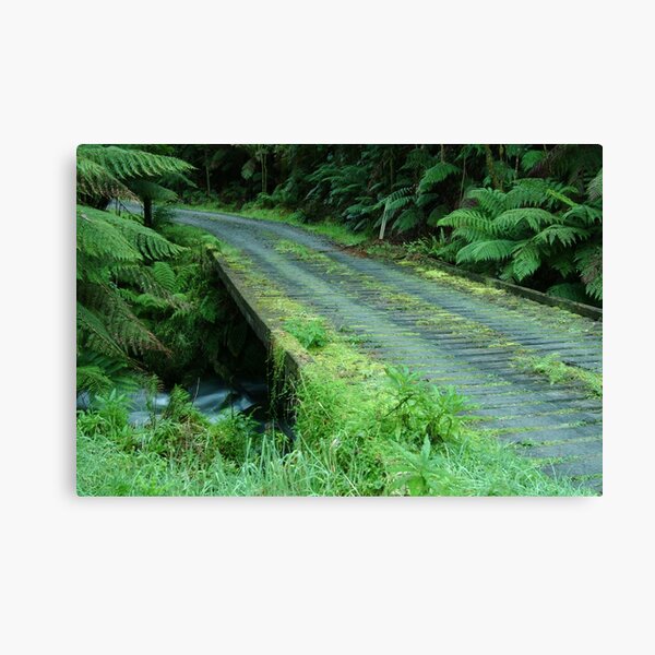 Item preview, Joe Mortelliti Gallery - Cianco Creek bridge, Otways Forest, Victoria, Australia.  designed and sold by thisisaustralia.