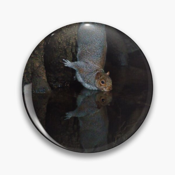 Item preview, Grey Squirrel having a drink or kissing its reflection? designed and sold by RobinDHunter.