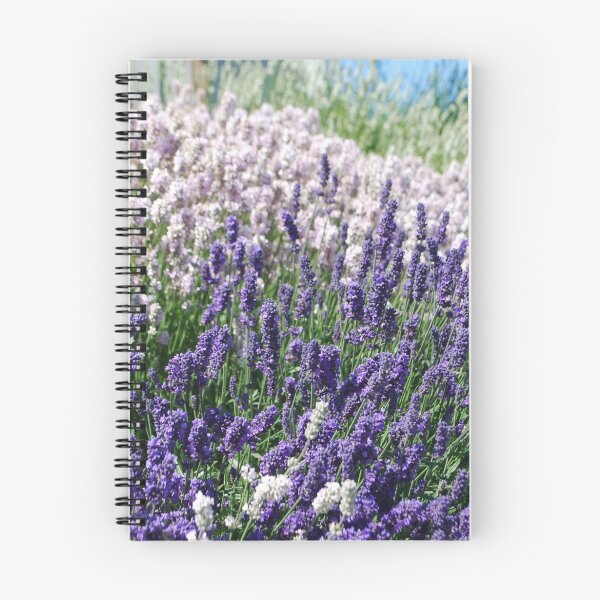 Item preview, Lavender Fields designed and sold by LHerzog.