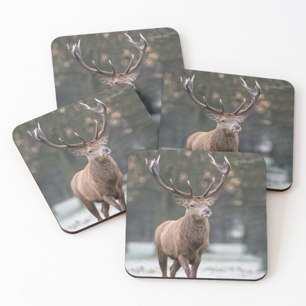 Item preview, A Royal Stag designed and sold by Steve Liptrot Photography.