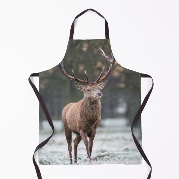 Item preview, A Royal Stag designed and sold by Steve Liptrot Photography.