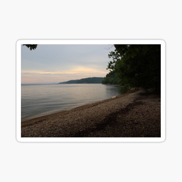 Forested Beach Sticker
