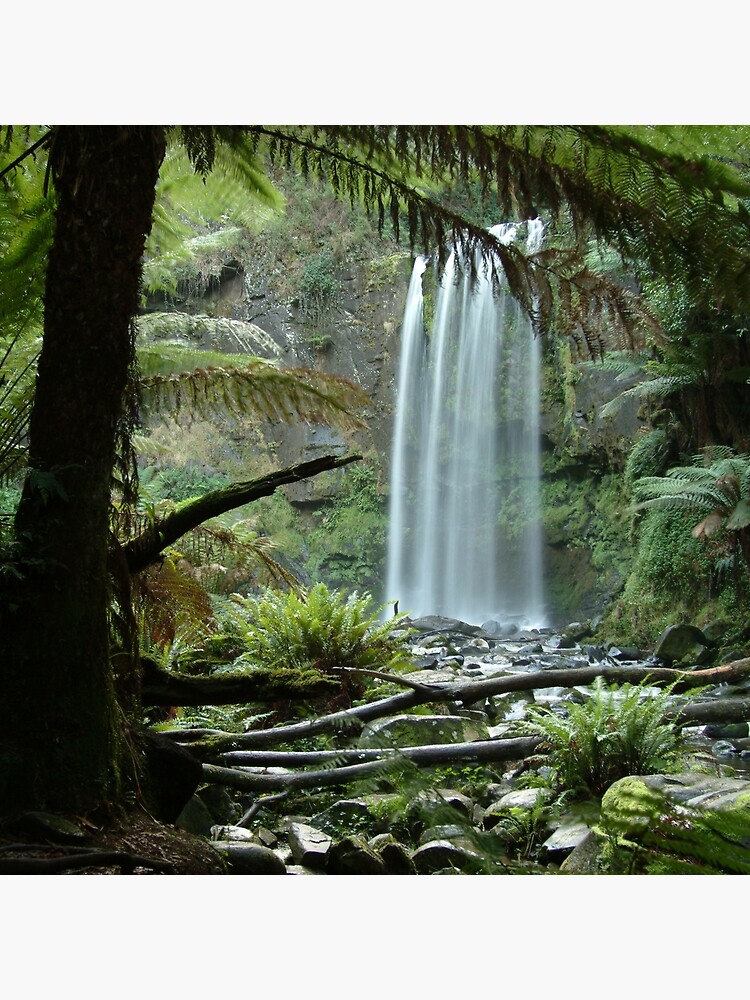 Joe Mortelliti Gallery - Hopetoun Falls, Otways Forest, Victoria, Australia. by thisisaustralia