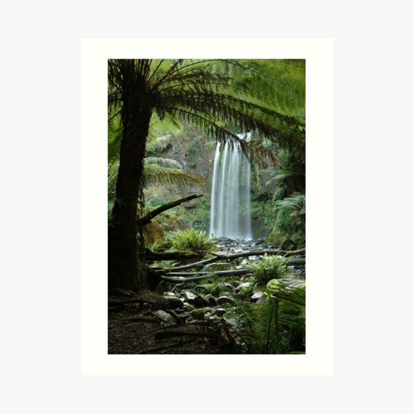 Joe Mortelliti Gallery - Hopetoun Falls, Otways Forest, Victoria, Australia. Art Print