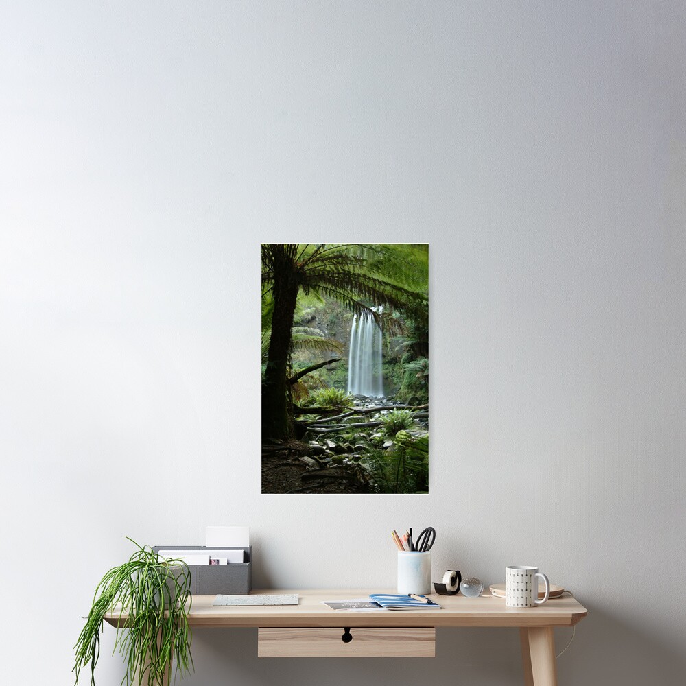Joe Mortelliti Gallery - Hopetoun Falls, Otways Forest, Victoria, Australia. Poster
