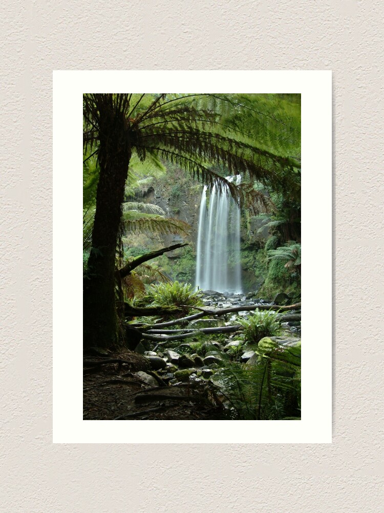 Alternate view of Joe Mortelliti Gallery - Hopetoun Falls, Otways Forest, Victoria, Australia. Art Print