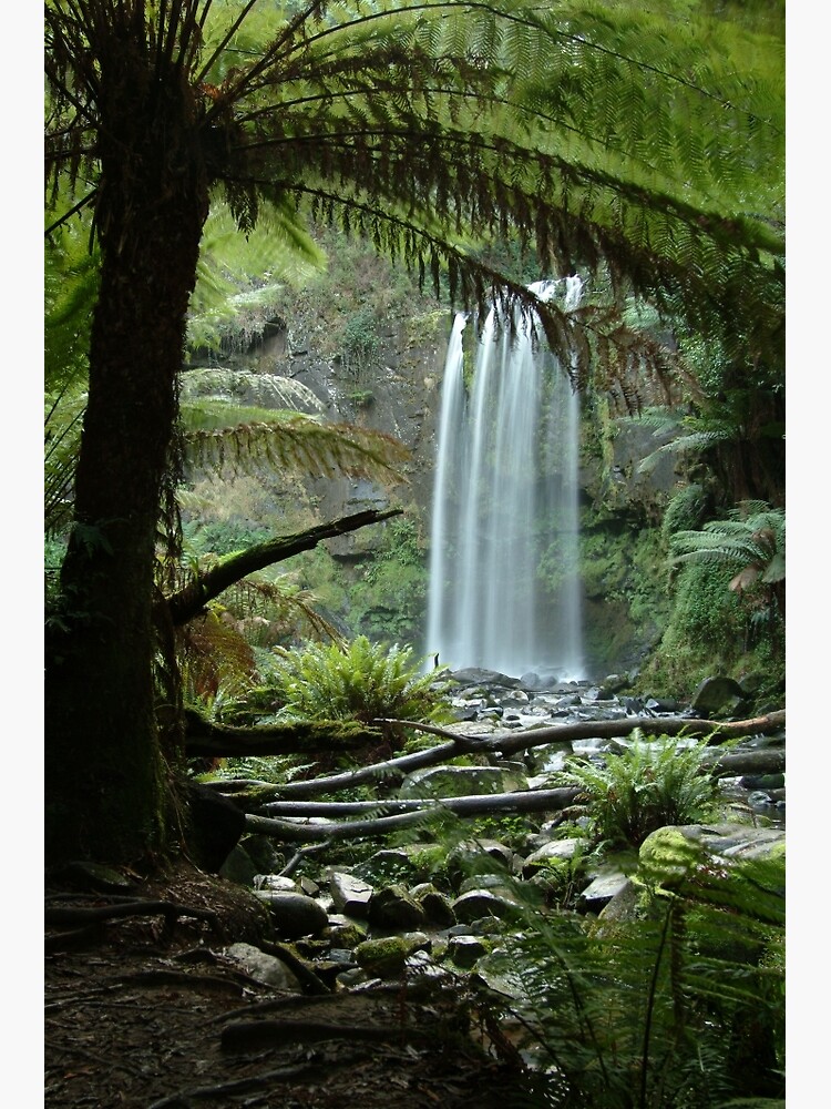 Joe Mortelliti Gallery - Hopetoun Falls, Otways Forest, Victoria, Australia. by thisisaustralia