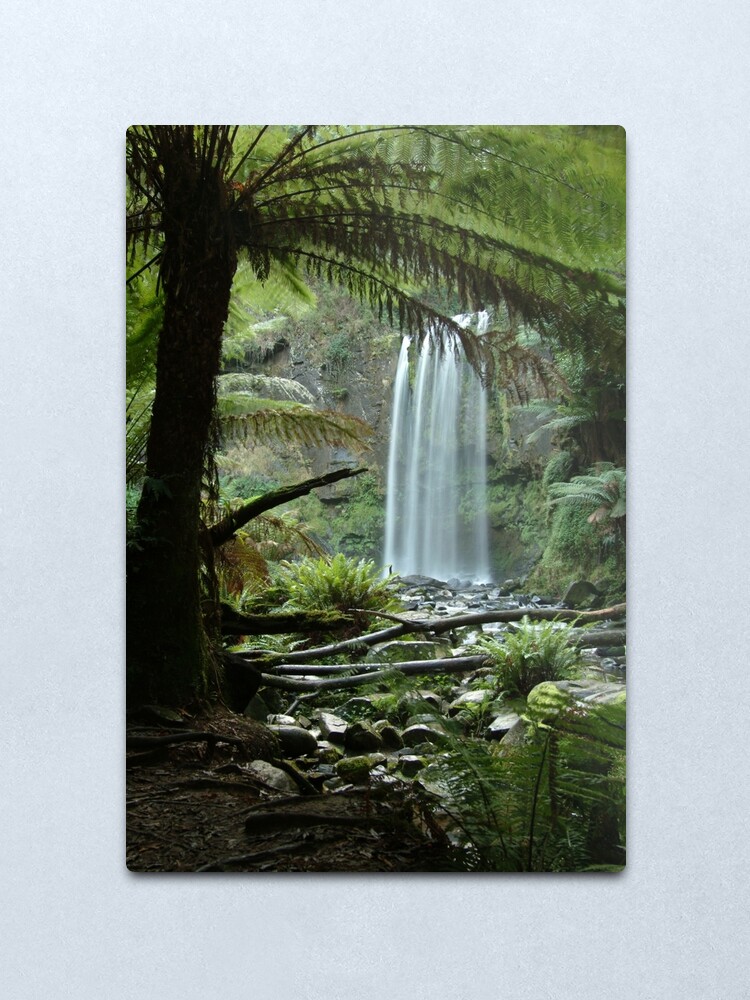 Alternate view of Joe Mortelliti Gallery - Hopetoun Falls, Otways Forest, Victoria, Australia. Metal Print