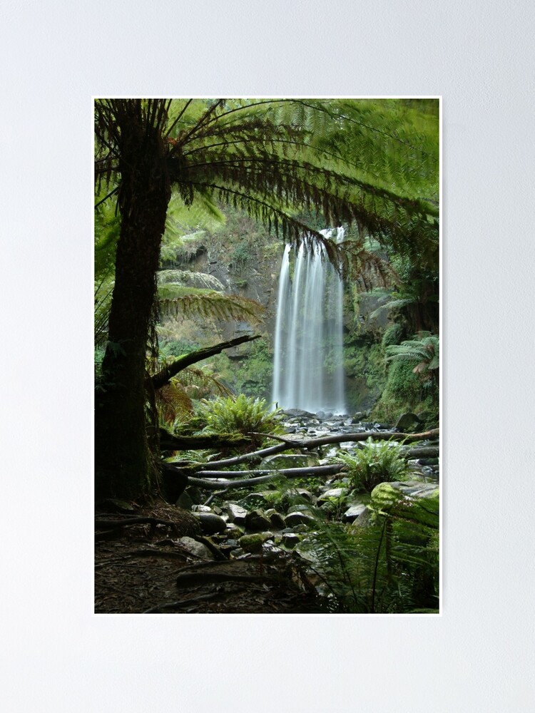 Alternate view of Joe Mortelliti Gallery - Hopetoun Falls, Otways Forest, Victoria, Australia. Poster
