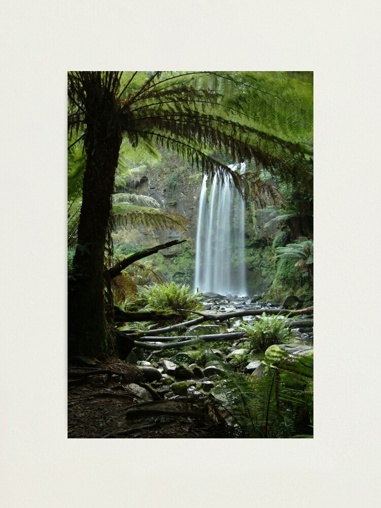 Alternate view of Joe Mortelliti Gallery - Hopetoun Falls, Otways Forest, Victoria, Australia. Photographic Print