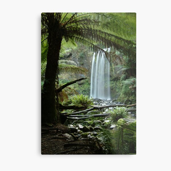 Joe Mortelliti Gallery - Hopetoun Falls, Otways Forest, Victoria, Australia. Metal Print
