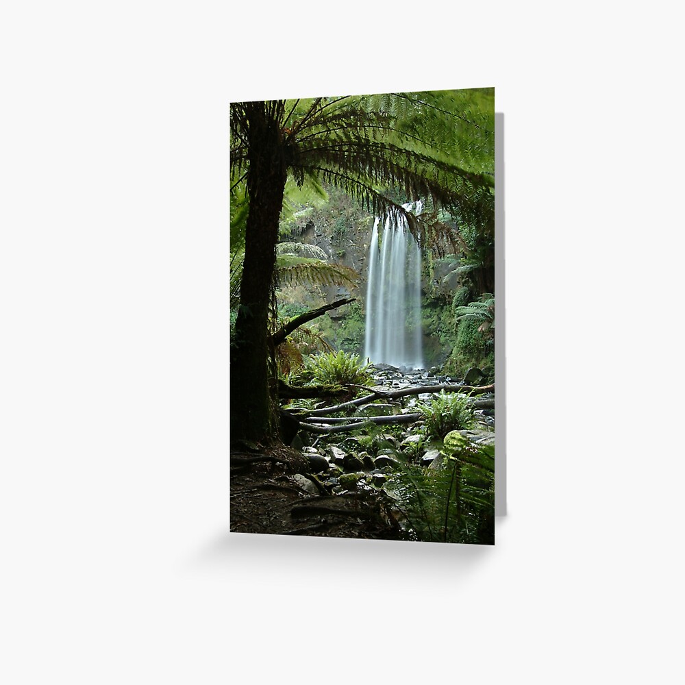 Joe Mortelliti Gallery - Hopetoun Falls, Otways Forest, Victoria, Australia. Greeting Card